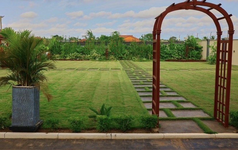 Outdoor Lawn