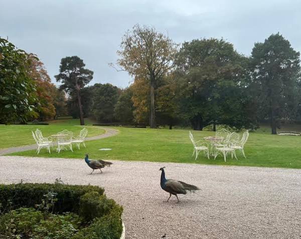 Rossington Hall 3