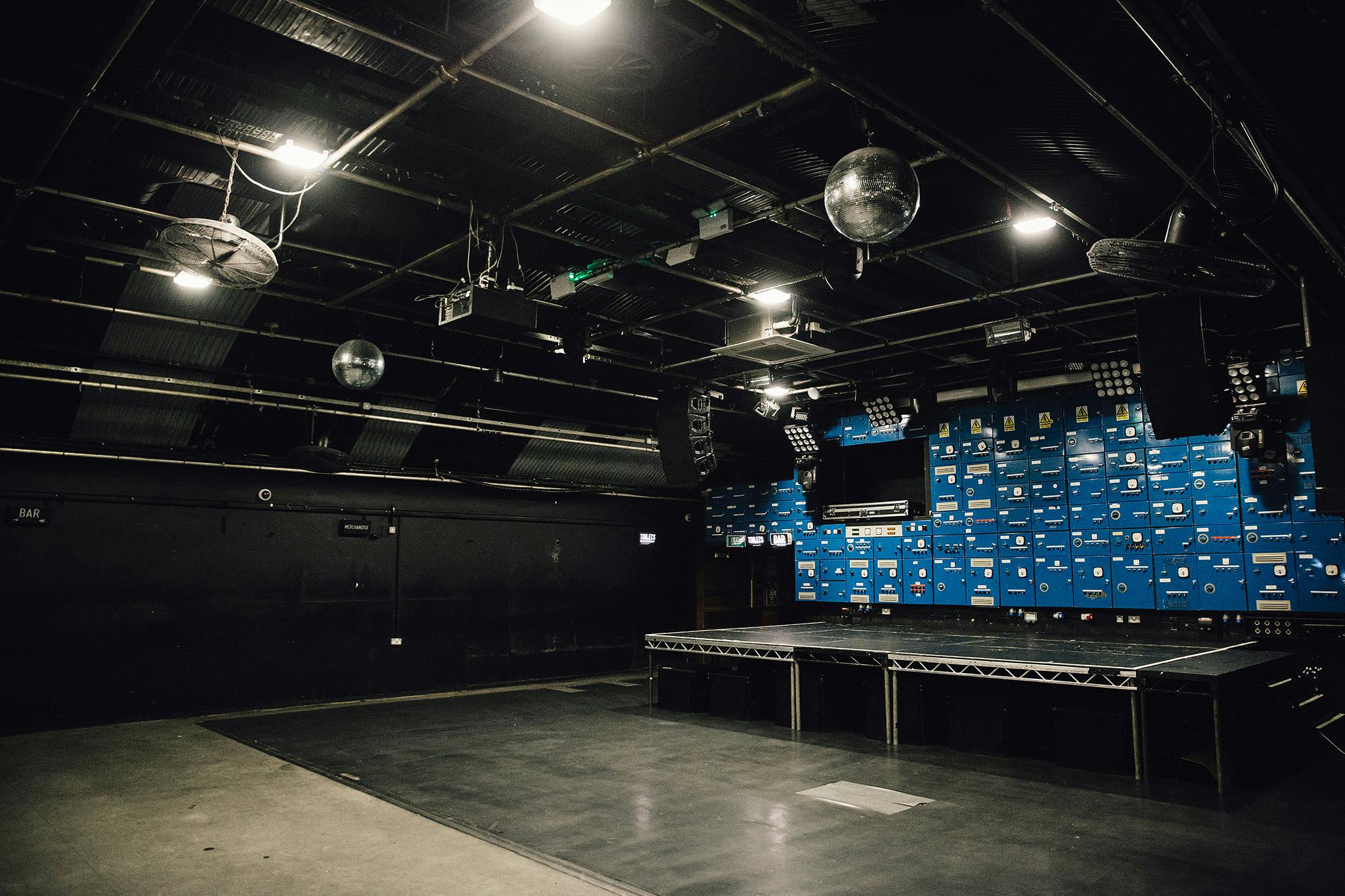 Gorilla Manchester 2
