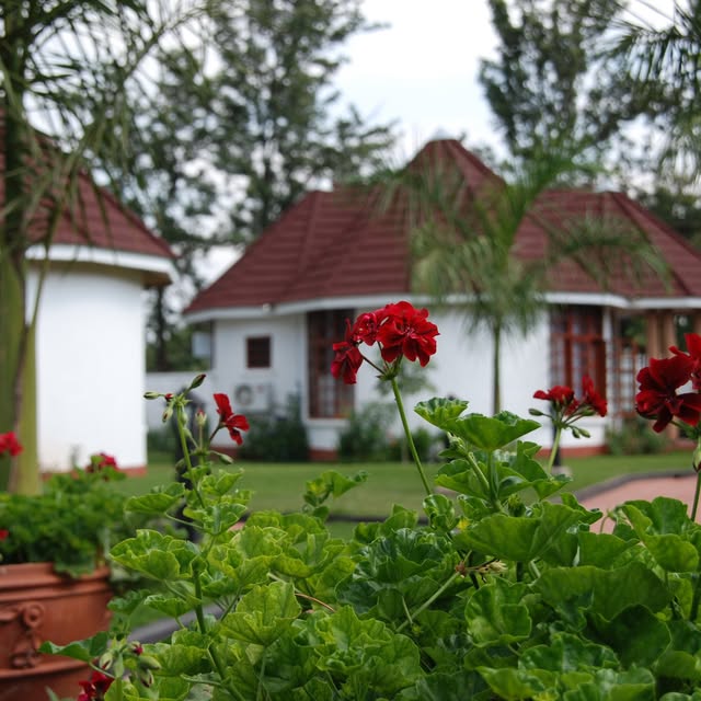 Salinero Kilimanjaro & Villa 2