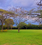 Arthur Gardens 3