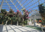 Main Glasshouse