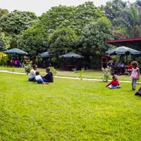Outdoor Lawns