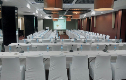 Twiga Conference Room