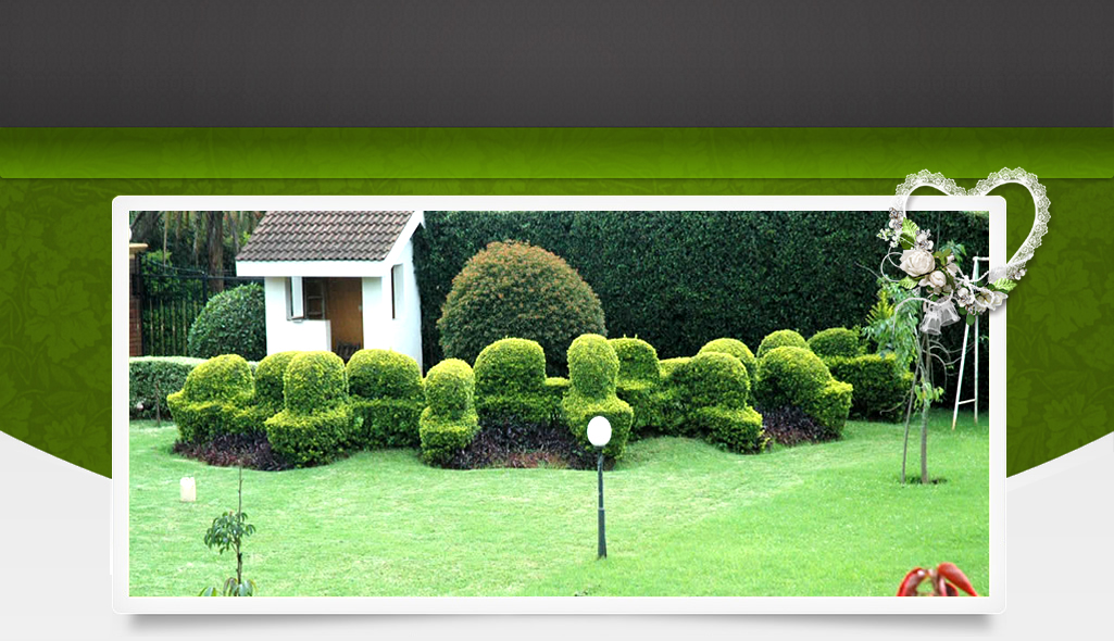 The Main Manicured Lawn