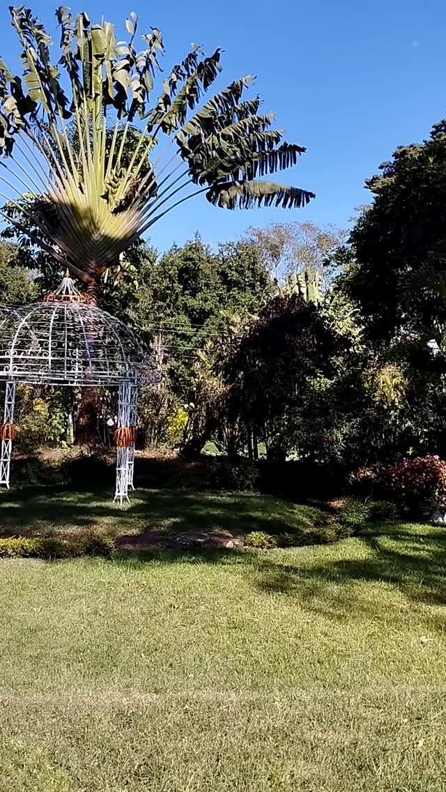 Dinham Resort Gardens 3