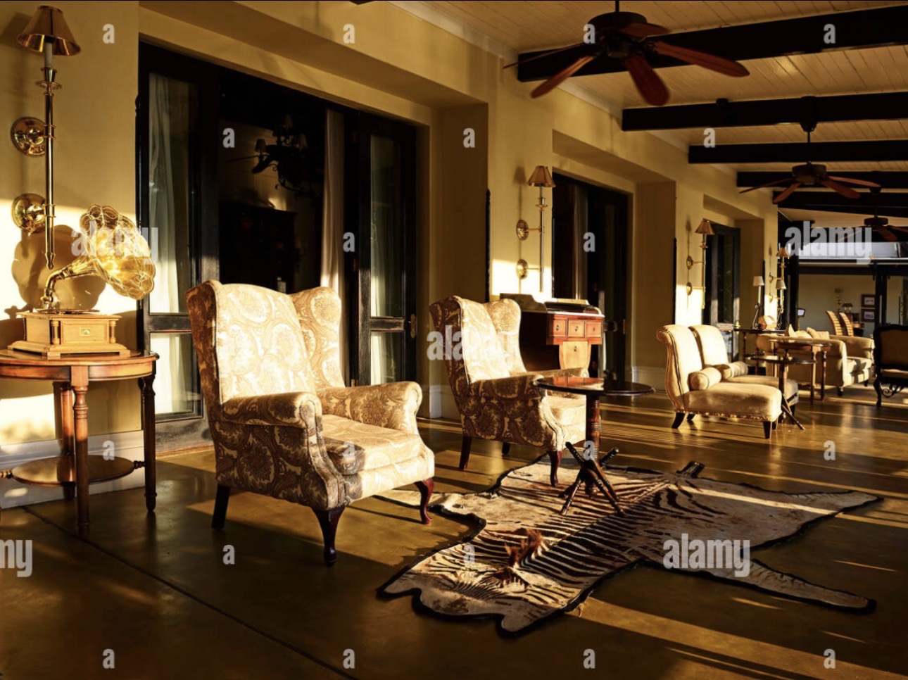 Lion room