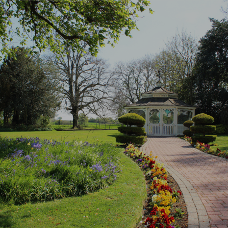 The Garden