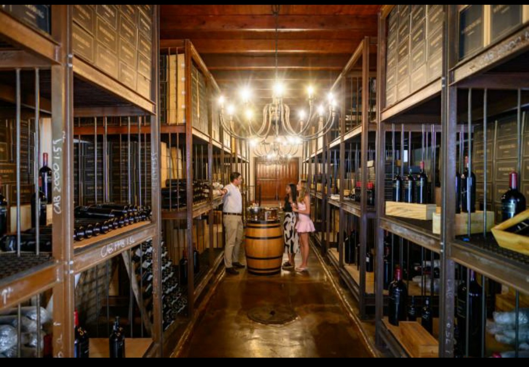 Wine Cellar @ The Vineyard