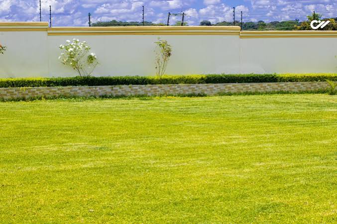 Tamyka Events Garden 4