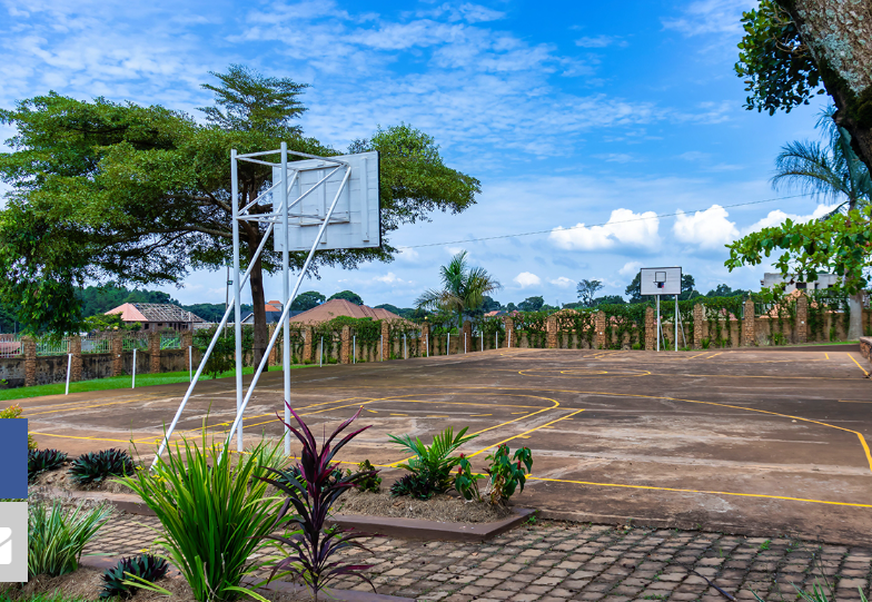 Outdoor Sports Arena & Basketball Court