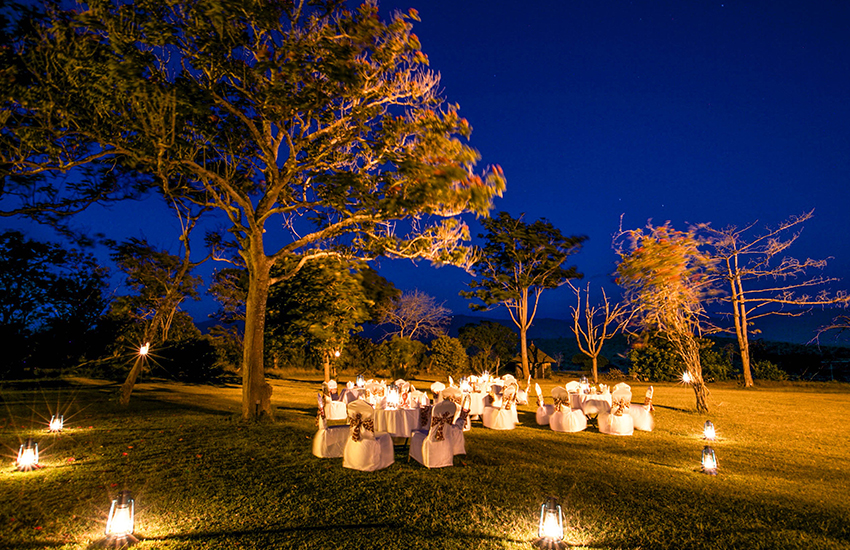 Bush and Boma Events
