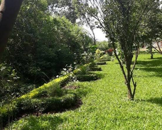 Lebetty’s Events Garden