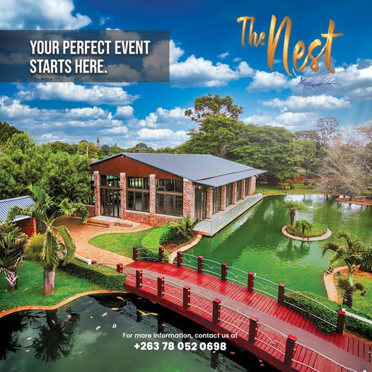 The Nest at Thirty