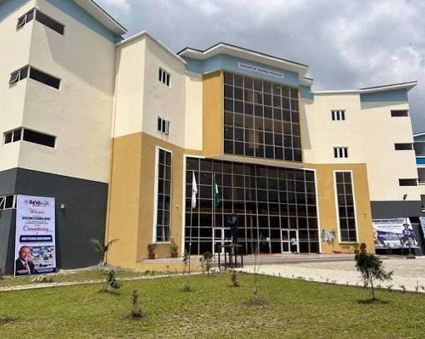 The Nyesom Ezenwo Wike Senate Chamber (Senate Building)