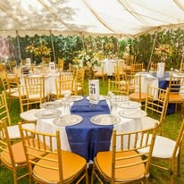 Francis Floral Gardens, Harare 3