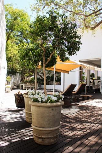 Belvedere Boutique Hotel 4