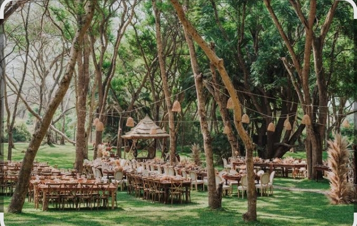 Outdoor Events