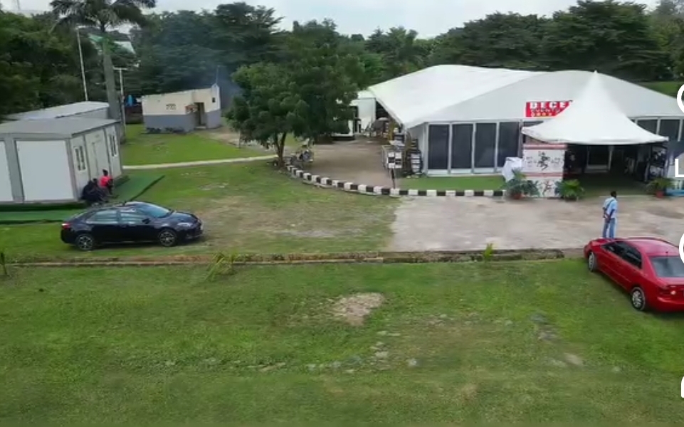 Garden Lawn