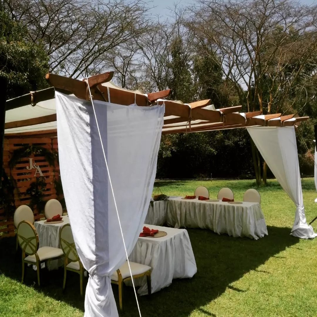 Photography/ Videography Backdrops