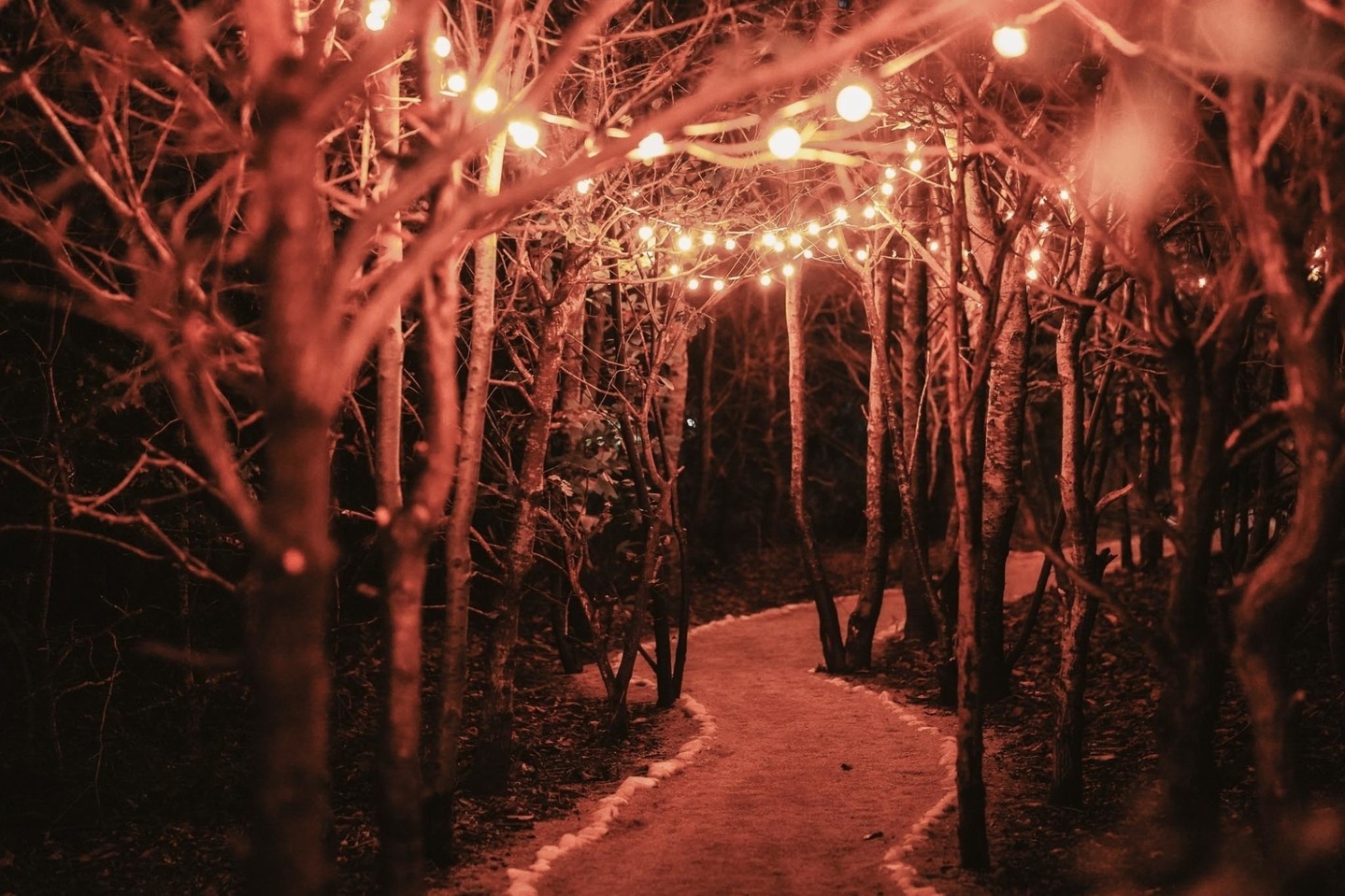 Royle Forest Wedding Venue 3