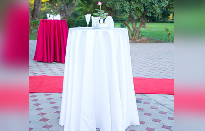 Mount Meru Hotel 5