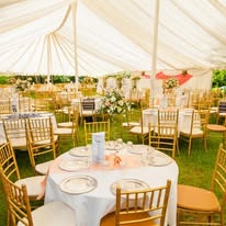Francis Floral Gardens, Harare 4