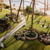 Lush Gardens