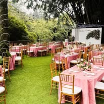 The Forest Deck