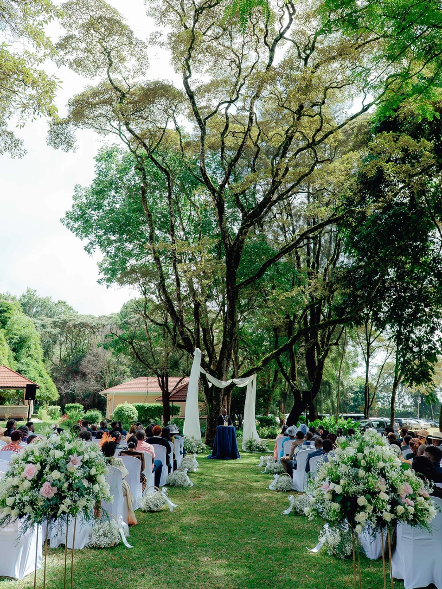Weddings & Social Occasions