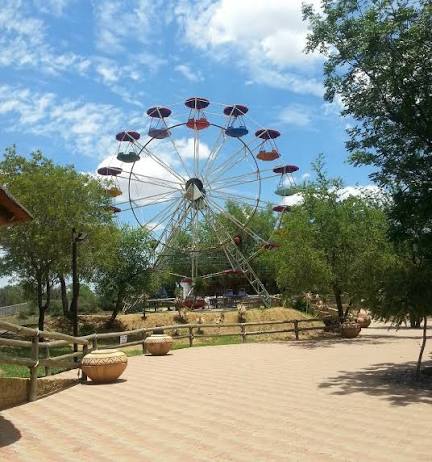 Lion Park Resort 5