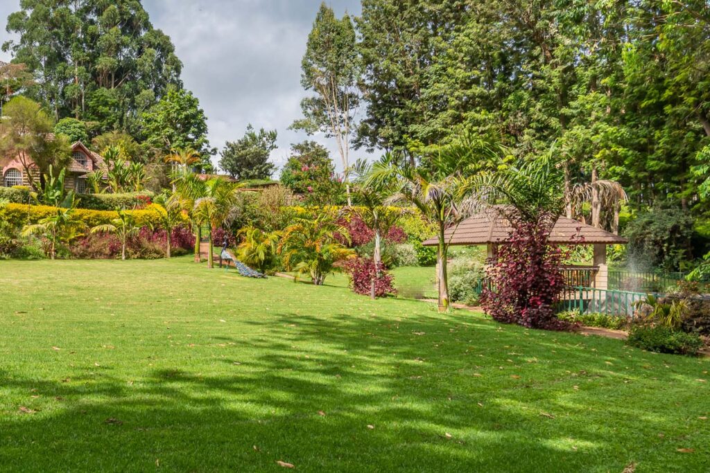 Koogi Gardens