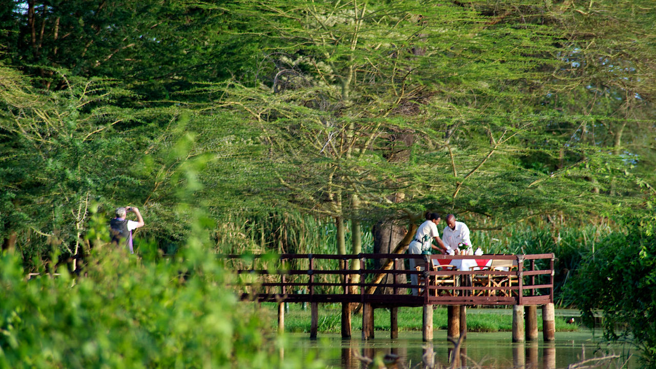 The Wooden Jetty