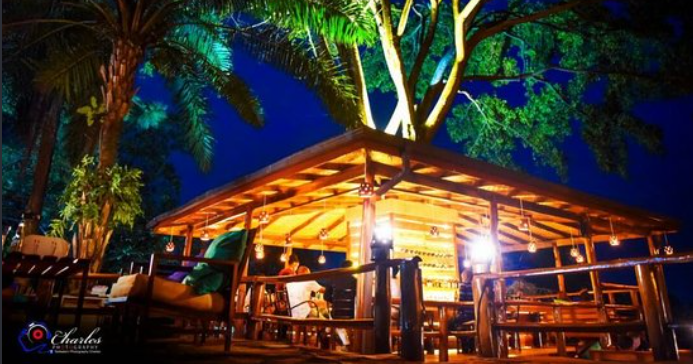 Tree Bar