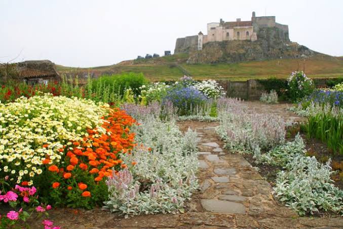 Lindisfarne Castle 3