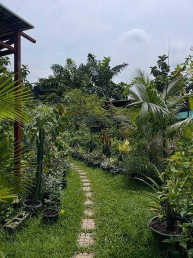 Eden Botanical Garden 2