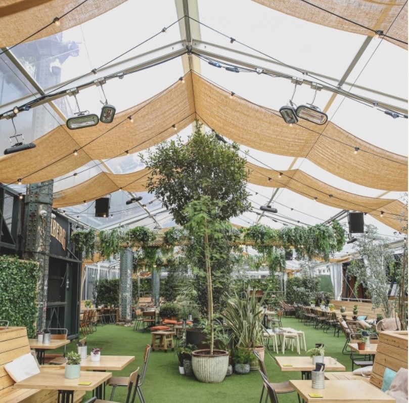 The Plant Room
