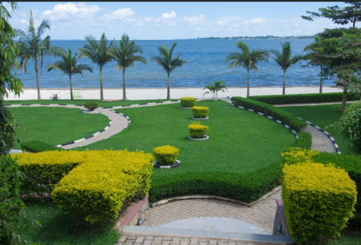 Tropical Gardens