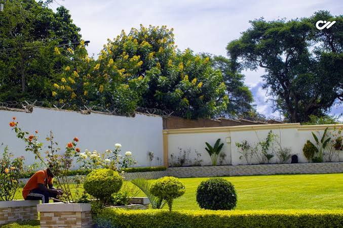 Tamyka Events Garden 3