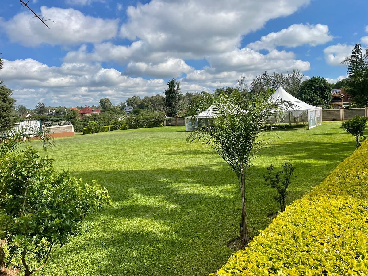 DNM Events Park