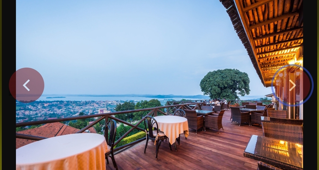 The Terrace