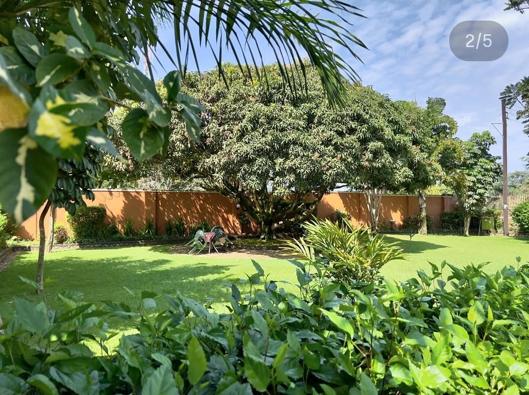 Garden / Outdoor Event Space