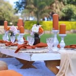 DNM Events Park 4