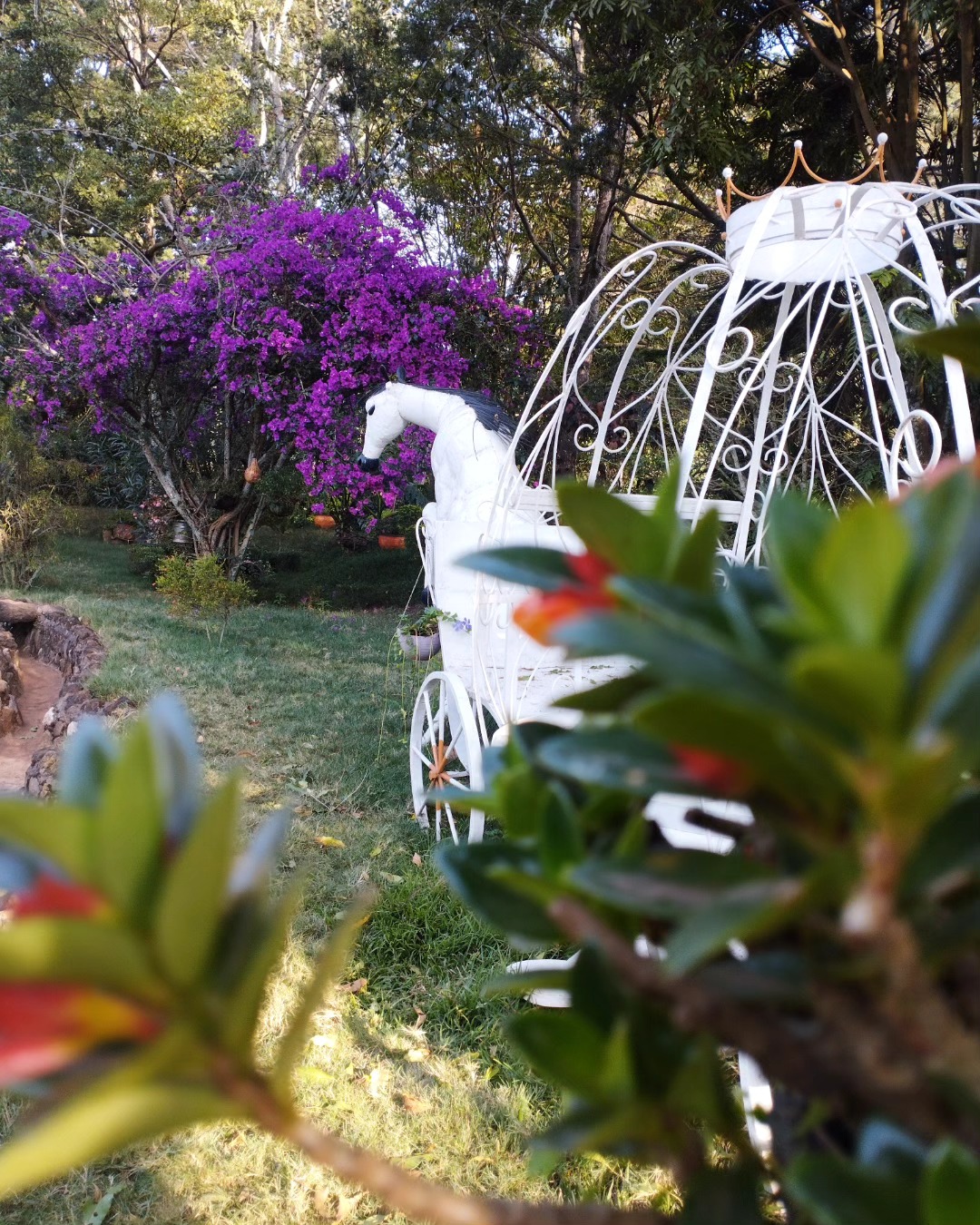 Dinham Resort Gardens 4