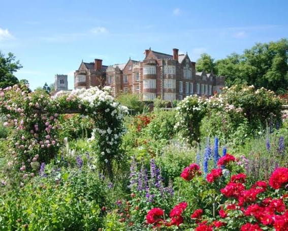 The Walled Garden