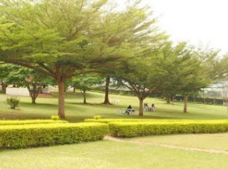 Gardens