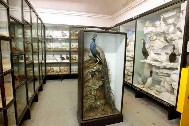 The Exhibition Galleries