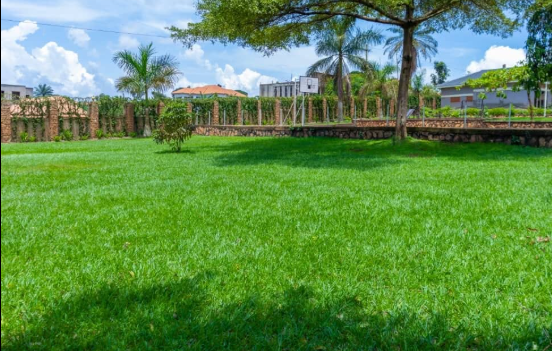 Gardens & Landscaped Lawns
