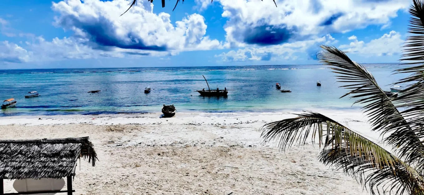 Mambo Paradise (Zanzibar) 4