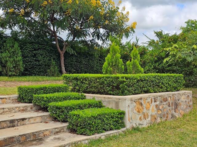 Le Jardin Lilongwe 2